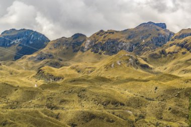 Cajas Milli Parkı Cuenca Ekvador