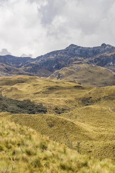 Cajas Nationaal Park Cuenca Ecuador — Stockfoto