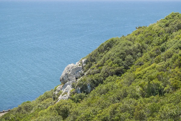 Vista aérea del paisaje Punta Colorada Uruguay — Foto de Stock