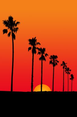 Gün batımı sahne illüstrasyon