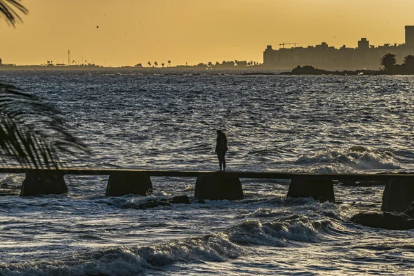 Rivier Plater rivier bij Montevideo — Stockfoto