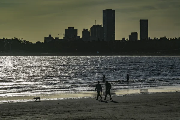 Montevidéu Skyline e Praia — Fotografia de Stock