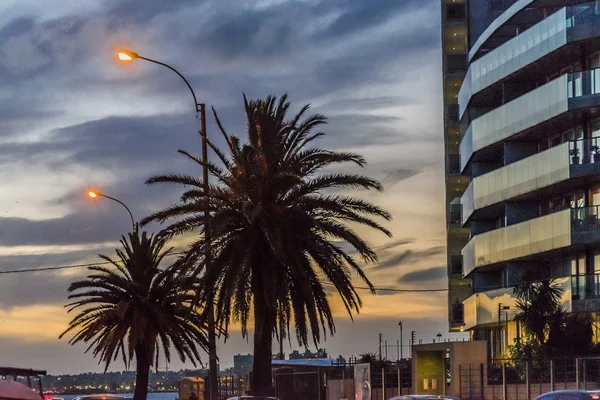 Zonsondergang scène bij kustlijn Montevideo Uruguay — Stockfoto