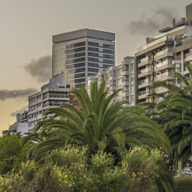 Montevideo Uruguay bölgesindeki modern binalar