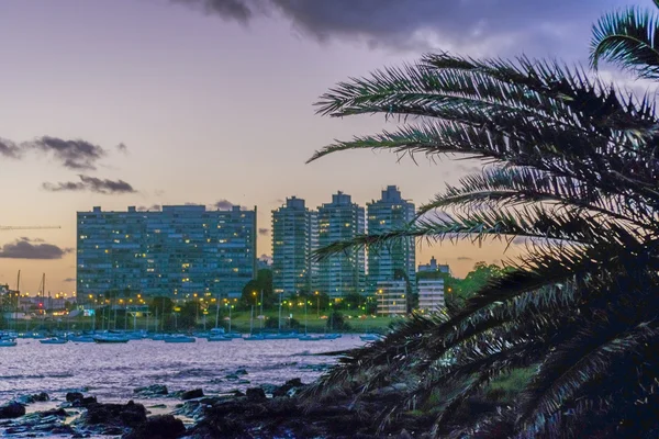 Montevideo Escena del paisaje urbano en Crepúsculo — Foto de Stock