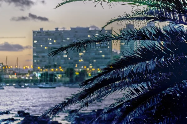 Cena da paisagem urbana de Montevidéu no Crepúsculo — Fotografia de Stock