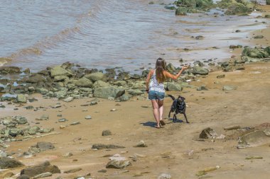 Plajda köpek ile oynayan genç kadın