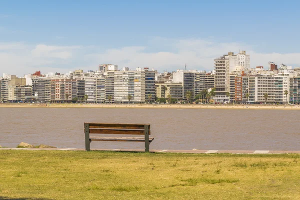 Pocitos Beach Montevideo Uruguay — Stockfoto