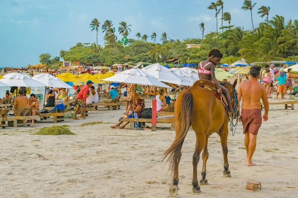 Gedrängter Strand bei jericoacoara Brasilien — Stockfoto