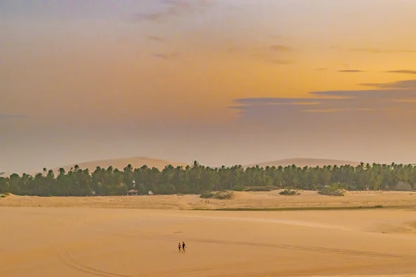 巴西杰里科科拉的沙丘景观 — 图库照片