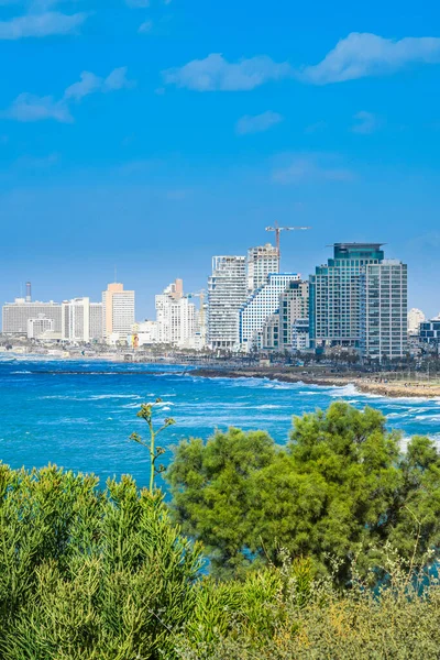 以色列 特拉维夫市 阳光明媚的空中景观 — 图库照片