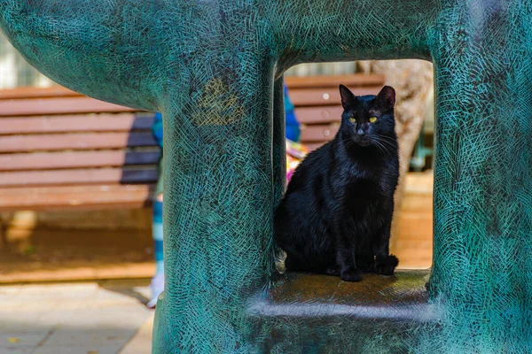 Чорна Кішка Стоїть Під Сучасною Скульптурою Тел Авів Іскраель — стокове фото