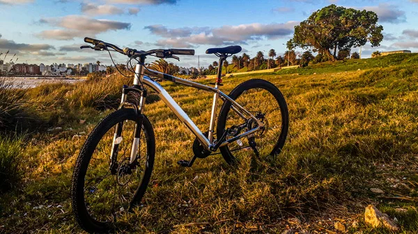 Mountainbike Parkerad Vid Gräs Park Montevideo Uruguay — Stockfoto