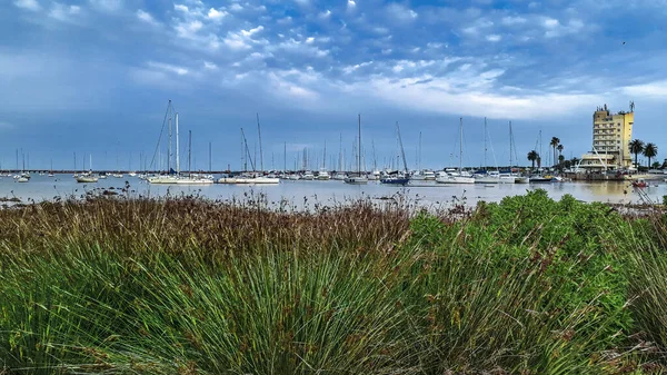 Panoramiczna Scena Dnia Małym Porcie Dzielnicy Buceo Montevideo City Uruguay — Zdjęcie stockowe