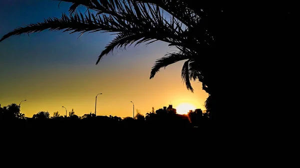 Scena Panoramica Silhouette Urbana Tropicale Nel Quartiere Buceo Montevideo City — Foto Stock