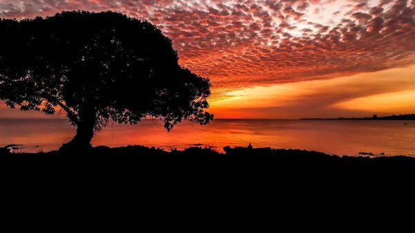 Tramonto Urbano Costiero Scena Notturna Montevideo Città Uruguay — Foto Stock