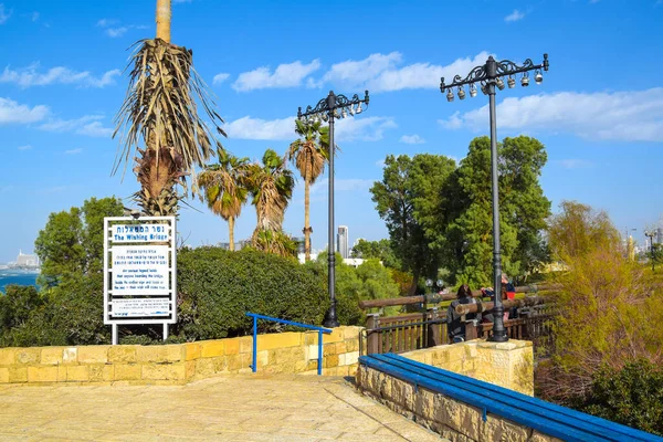 Outdoor Sunny Day Scene Abrasha Park Jaffa Israel — Stock Photo, Image