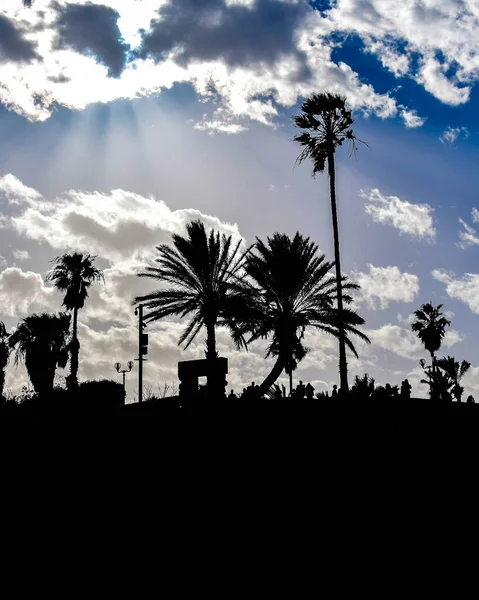 Tel Aviv Israel Diciembre 2019 Escena Alto Contraste Contraluz Abrasha — Foto de Stock