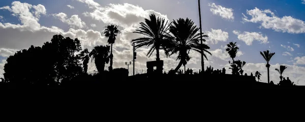 Tel Aviv Israel Décembre 2019 Scène Contrastée Parc Abrasha Jaffa — Photo