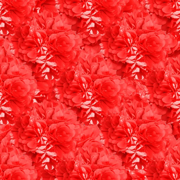 Colagem Fotos Digitais Técnica Manipulação Motivo Rosas Vermelhas Sem Costura — Fotografia de Stock