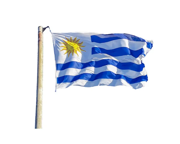 Bandeira Uruguaia Voando Isolada Sobre Fundo Branco — Fotografia de Stock