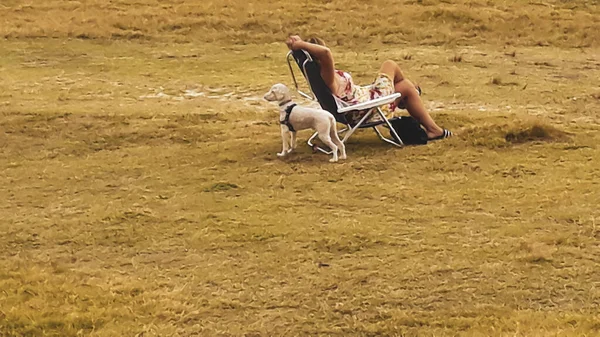 Femme Assise Chaise Avec Chien Animal Compagnie Parc Riverain Montevideo — Photo