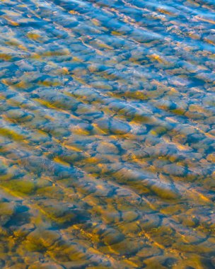 Kayalık dibi olan düz nehir, arequita ulusal parkı, lavalleja, uruguay
