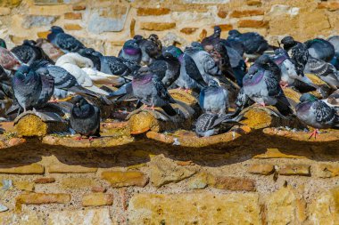 Monastiraki Meydanı, Atina, Yunanistan 'da birçok güvercin çatıdan uçtu.