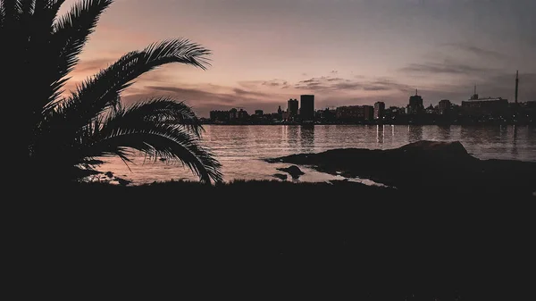 Costa Urbana Pôr Sol Cena Silhueta Cidade Montevideo Uruguai — Fotografia de Stock