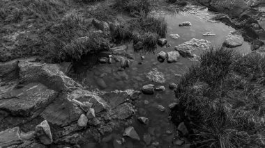 Siyah ve beyaz kaya kıyısı detay sahnesi, montevideo, uruguay