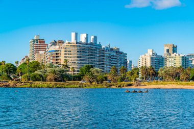 Montevideo City, Uruguay 'daki sahil binaları.