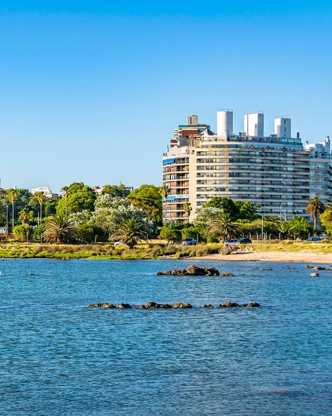 Edificios Frente Mar Escena Costera Urbana Montevideo Ciudad Uruguay — Foto de Stock