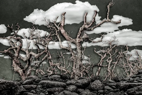 Foto Colagem Técnica Escuro Fantasia Paisagem Cena Alto Contraste Dessaturado — Fotografia de Stock