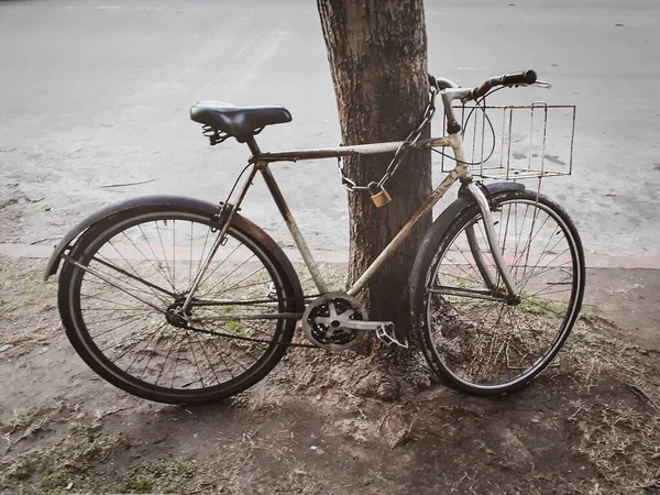 Miejska Scowość Stary Styl Vintage Rower Przykuty Łańcuchem Drzewie Montevideo — Zdjęcie stockowe