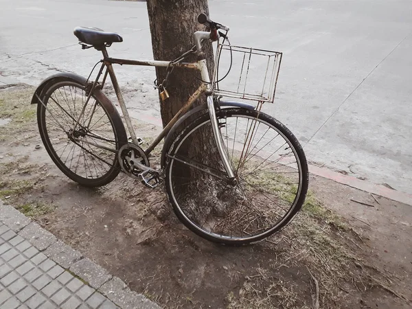 Miejska Scowość Stary Styl Vintage Rower Przykuty Łańcuchem Drzewie Montevideo — Zdjęcie stockowe