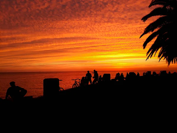 Atardecer Costero Urbano Escena Silueta Montevideo Ciudad Uruguay — Foto de Stock