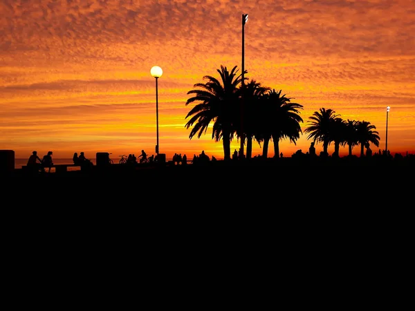 Scena Silhouette Urbana Del Tramonto Costiero Montevideo City Uruguay — Foto Stock