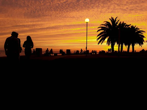 Scena Silhouette Urbana Del Tramonto Costiero Montevideo City Uruguay — Foto Stock