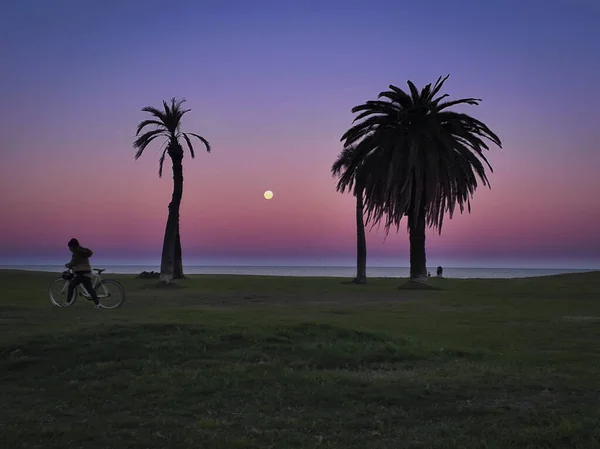 High Contrast Silhouette Coastal Landscape Scene Montevideo City Uruguay — Stock Photo, Image