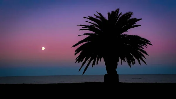 Silhouette Contrastée Paysage Côtier Scène Montevideo Ville Uruguay — Photo