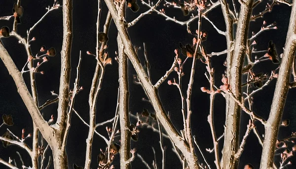 Detalle de la naturaleza Arte digital — Foto de Stock