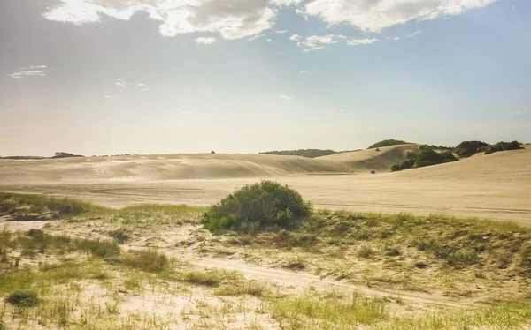 Arjantin carilo Beach kumulları — Stok fotoğraf