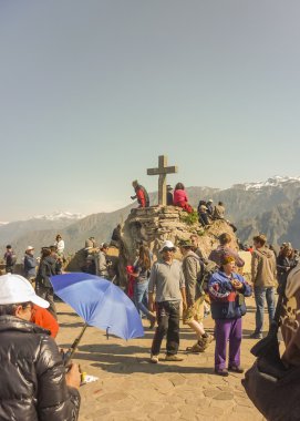 Condor Colca Vadisi'nde bekliyor