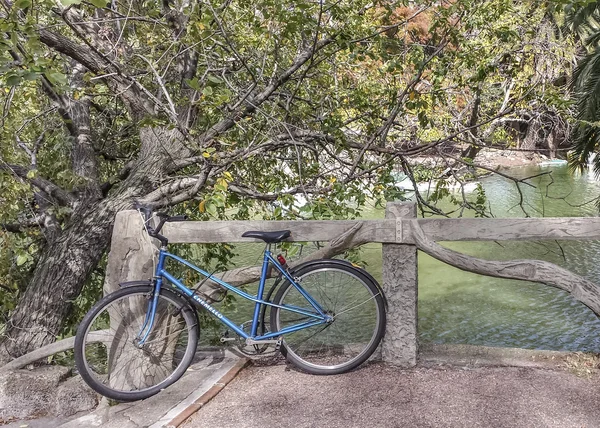 Njut av naturen på Park — Stockfoto