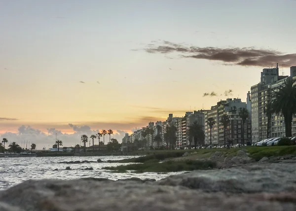 Montevideo bina ve sahil görünümü — Stok fotoğraf