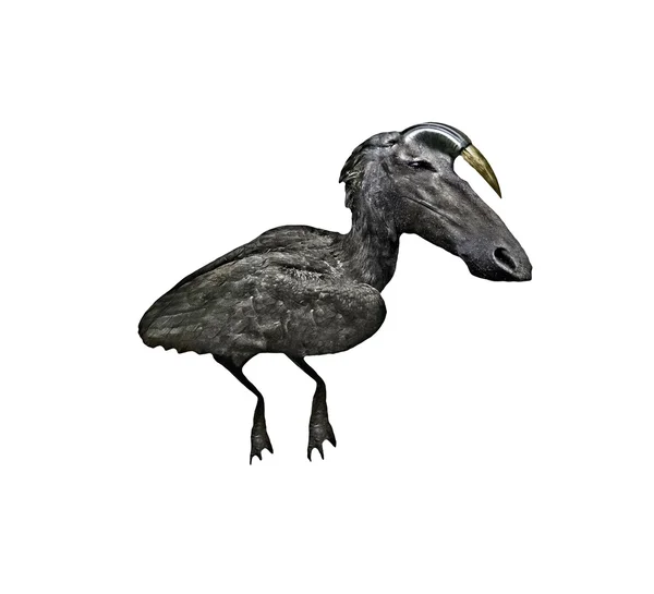 Dark Horsebird Creature Digital Art — Stock Photo, Image