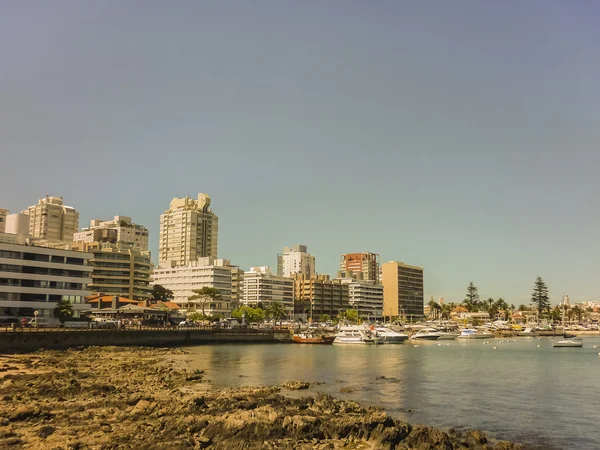 Punta del Este Port View binalar ve tekneler — Stok fotoğraf