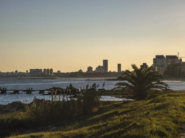 Montevideo Sahil gün sahne — Stok fotoğraf