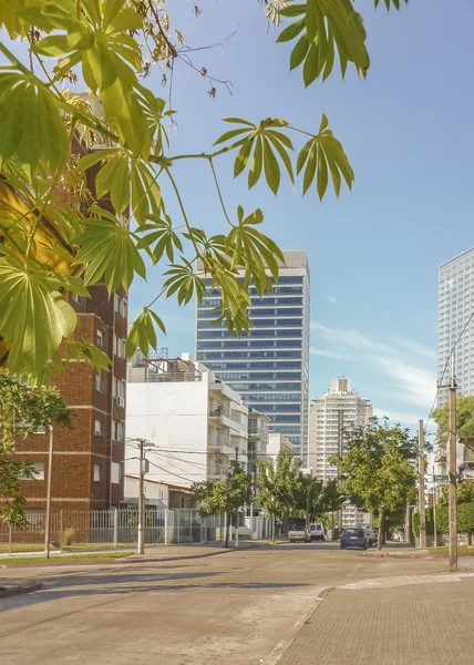 Montevideo mahalle sokak görünümü — Stok fotoğraf