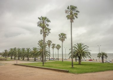 Montevideo sahil parkında